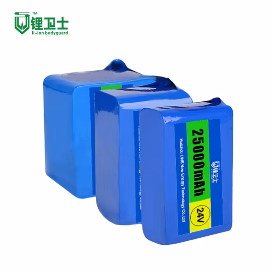 Lws 22V 24V 48V 72V 20ah LiFePO4 Batterie 12V Lithium Ion Battery Pack