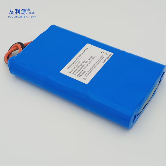 Deep Cycle 12V/48V 100ah/200ah Lithium Solar/Car LiFePO4 Storage Battery Pack for Electric Scooter Vehicle Bicycle Marine RV UPS