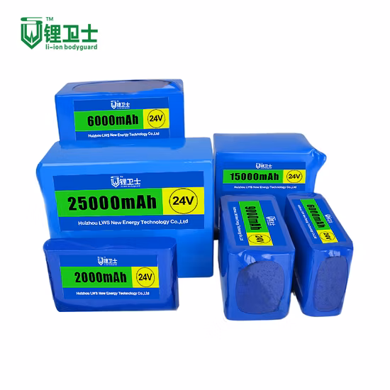 Lws 22V 24V 48V 72V 20ah LiFePO4 Batterie 12V Lithium Ion Battery Pack
