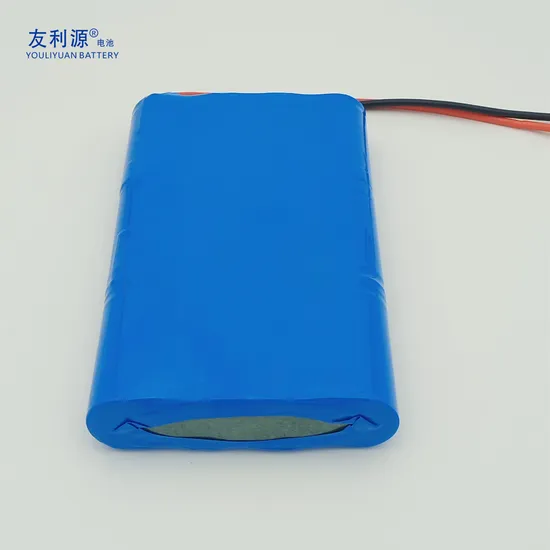 Deep Cycle 12V/48V 100ah/200ah Lithium Solar/Car LiFePO4 Storage Battery Pack for Electric Scooter Vehicle Bicycle Marine RV UPS