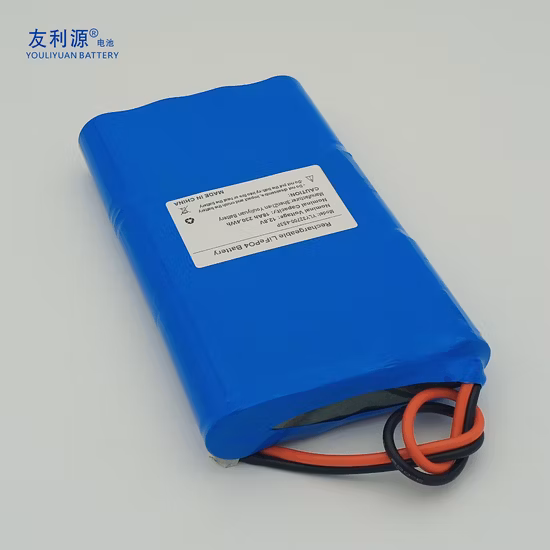 Deep Cycle 12V/48V 100ah/200ah Lithium Solar/Car LiFePO4 Storage Battery Pack for Electric Scooter Vehicle Bicycle Marine RV UPS