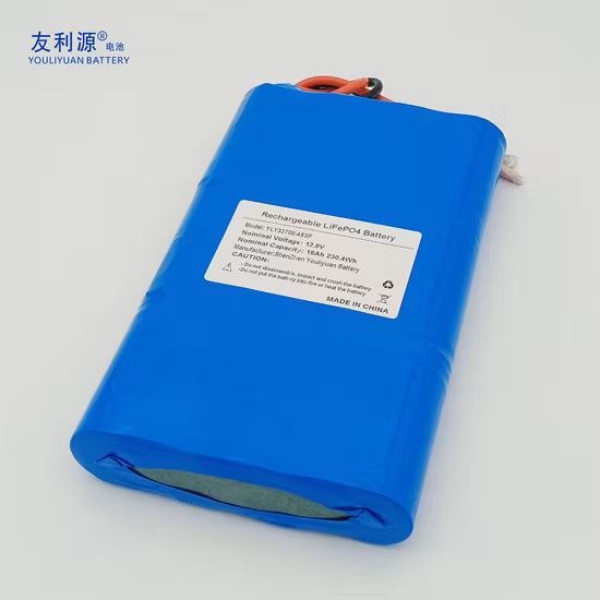 Deep Cycle 12V/48V 100ah/200ah Lithium Solar/Car LiFePO4 Storage Battery Pack for Electric Scooter Vehicle Bicycle Marine RV UPS