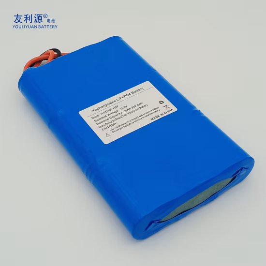 Deep Cycle 12V/48V 100ah/200ah Lithium Solar/Car LiFePO4 Storage Battery Pack for Electric Scooter Vehicle Bicycle Marine RV UPS