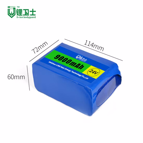 Lws 22V 24V 48V 72V 20ah LiFePO4 аккумулятор 12V литий-ионный аккумулятор